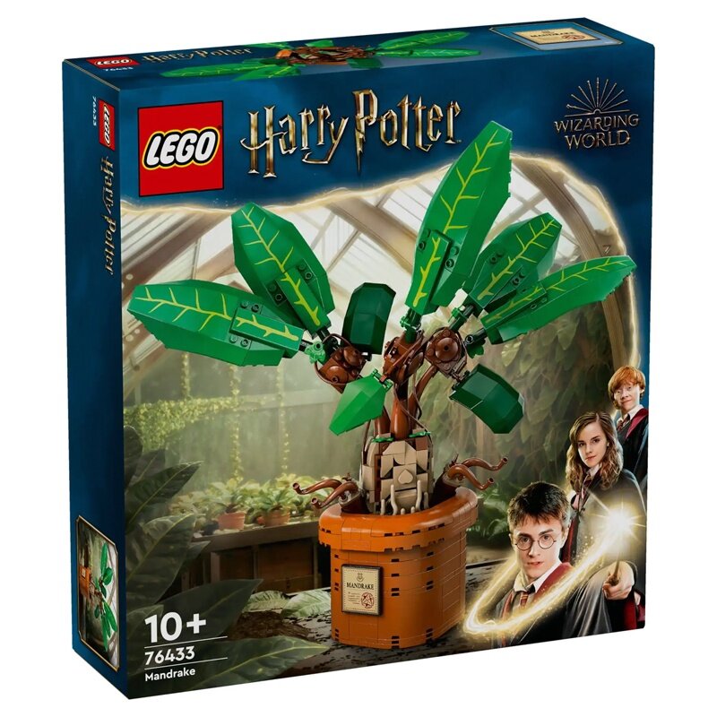 76433 - Mandrake - L0076433 - Afbeelding 2