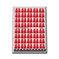 Custom Sticker - Pirates I - Pirates Imperial Armada Torsos Captain