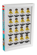 Custom Sticker - Cover for Minifig Series 22